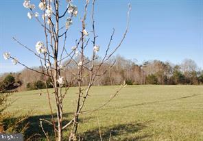 CORNER OF 651 AND 632 SUMERDUCK RD AND ROGERS FORD, SUMERDUCK, Virginia 22742, ,Land,For sale,CORNER OF 651 AND 632 SUMERDUCK RD AND ROGERS FORD,VAFQ2013446 MLS # VAFQ2013446