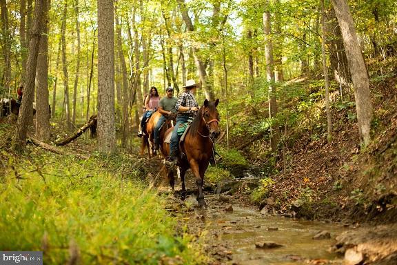 S FORT VALLEY RD, FORT VALLEY, Virginia 22652, ,Land,For sale,S FORT VALLEY RD,VASH2009298 MLS # VASH2009298