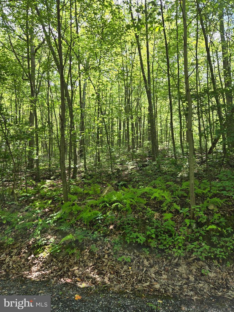 LOT 5J WARDENSVILLE PIKE, STAR TANNERY, Virginia 22654, ,Land,For sale,LOT 5J WARDENSVILLE PIKE,VAFV2020780 MLS # VAFV2020780