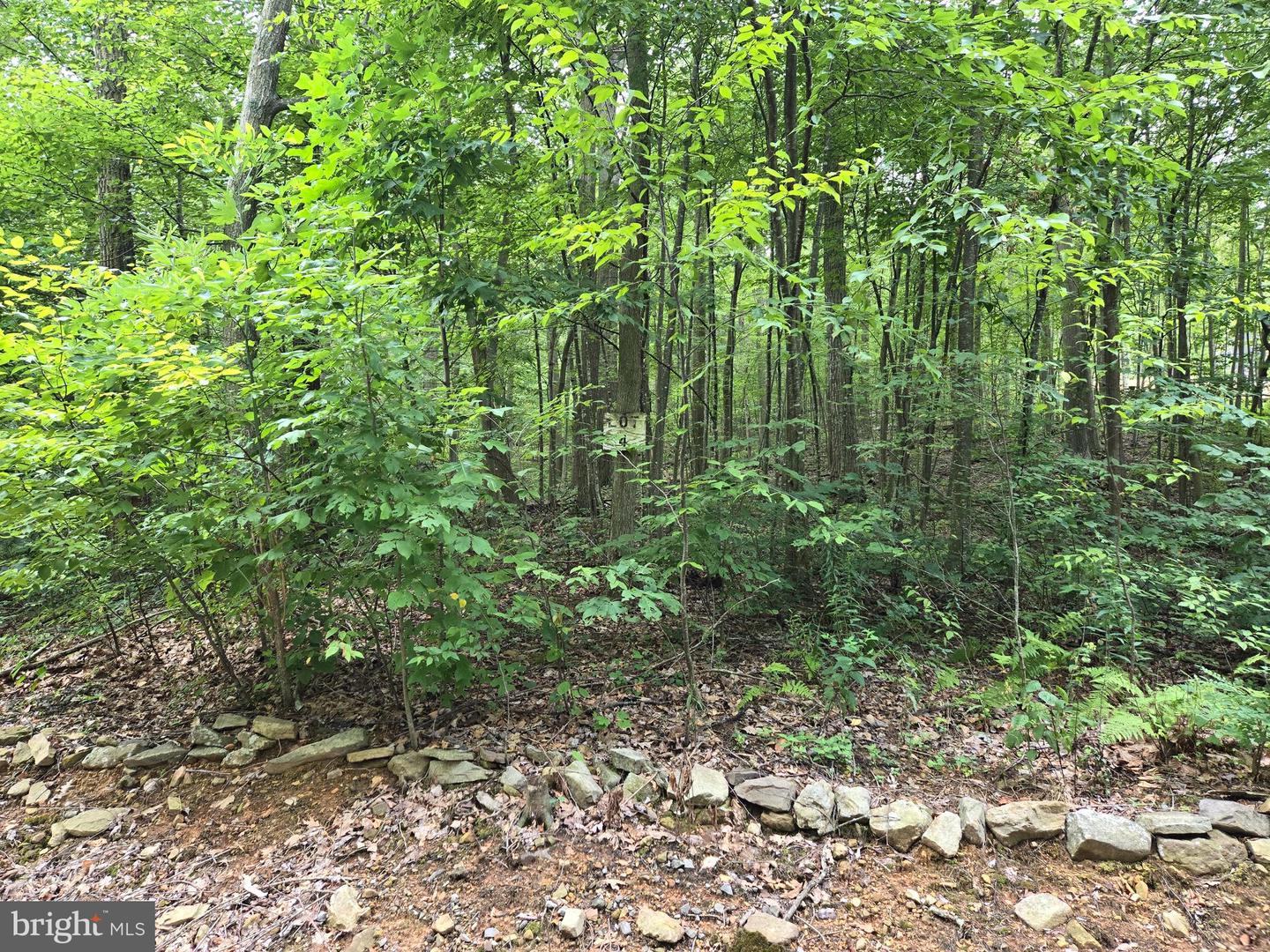 LOT 5L WARDENSVILLE PIKE, STAR TANNERY, Virginia 22654, ,Land,For sale,LOT 5L WARDENSVILLE PIKE,VAFV2020788 MLS # VAFV2020788