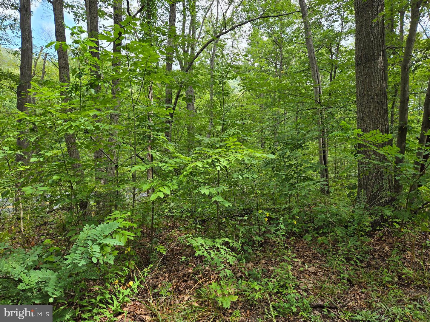 LOT 5L WARDENSVILLE PIKE, STAR TANNERY, Virginia 22654, ,Land,For sale,LOT 5L WARDENSVILLE PIKE,VAFV2020788 MLS # VAFV2020788