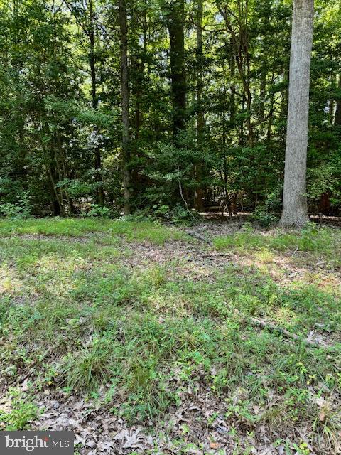 LOT 14 COD CREEK DR, HEATHSVILLE, Virginia 22473, ,Land,For sale,LOT 14 COD CREEK DR,VANV2001242 MLS # VANV2001242