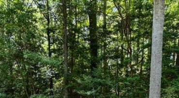 LOT 14 COD CREEK DR, HEATHSVILLE, Virginia 22473, ,Land,For sale,LOT 14 COD CREEK DR,VANV2001242 MLS # VANV2001242