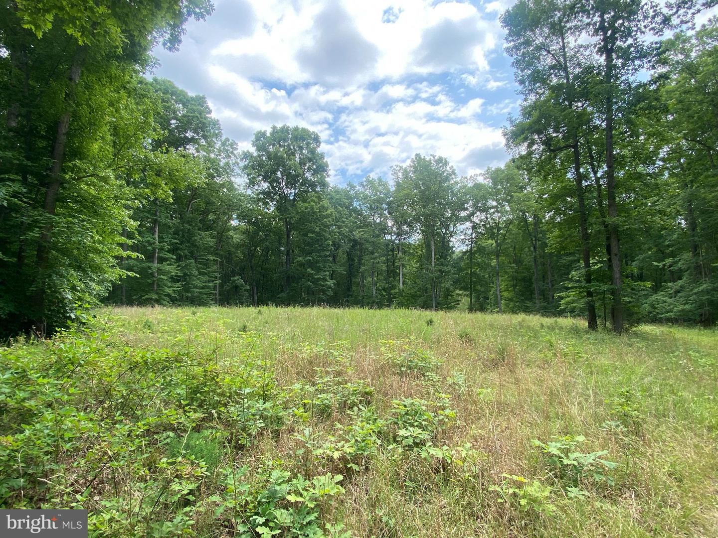 0 HOPE LN, ORANGE, Virginia 22960, ,Land,For sale,0 HOPE LN,VAOR2007640 MLS # VAOR2007640