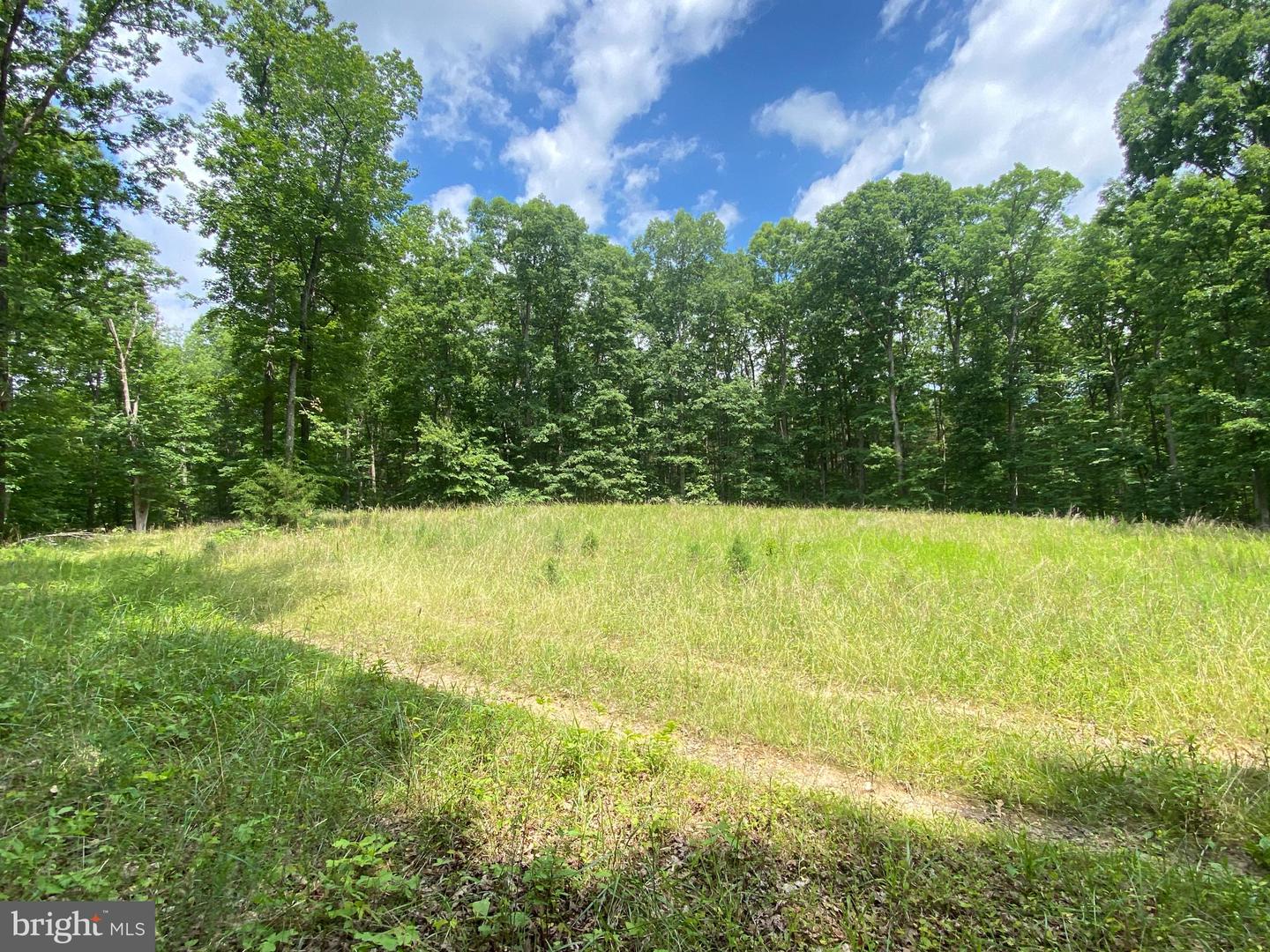 0 HOPE LN, ORANGE, Virginia 22960, ,Land,For sale,0 HOPE LN,VAOR2007640 MLS # VAOR2007640