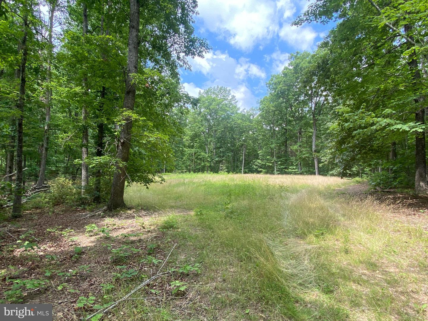 0 HOPE LN, ORANGE, Virginia 22960, ,Land,For sale,0 HOPE LN,VAOR2007640 MLS # VAOR2007640