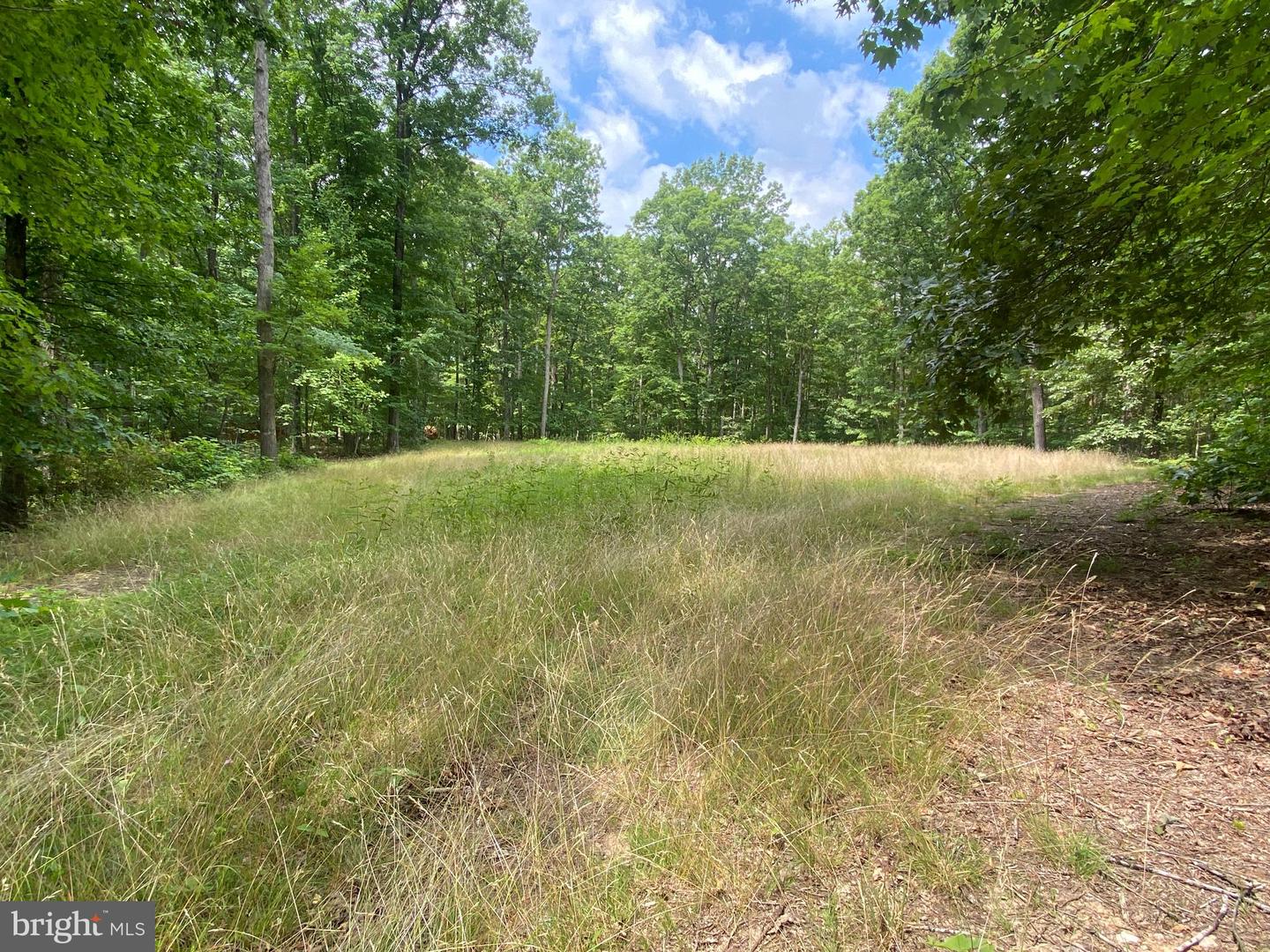 0 HOPE LN, ORANGE, Virginia 22960, ,Land,For sale,0 HOPE LN,VAOR2007640 MLS # VAOR2007640