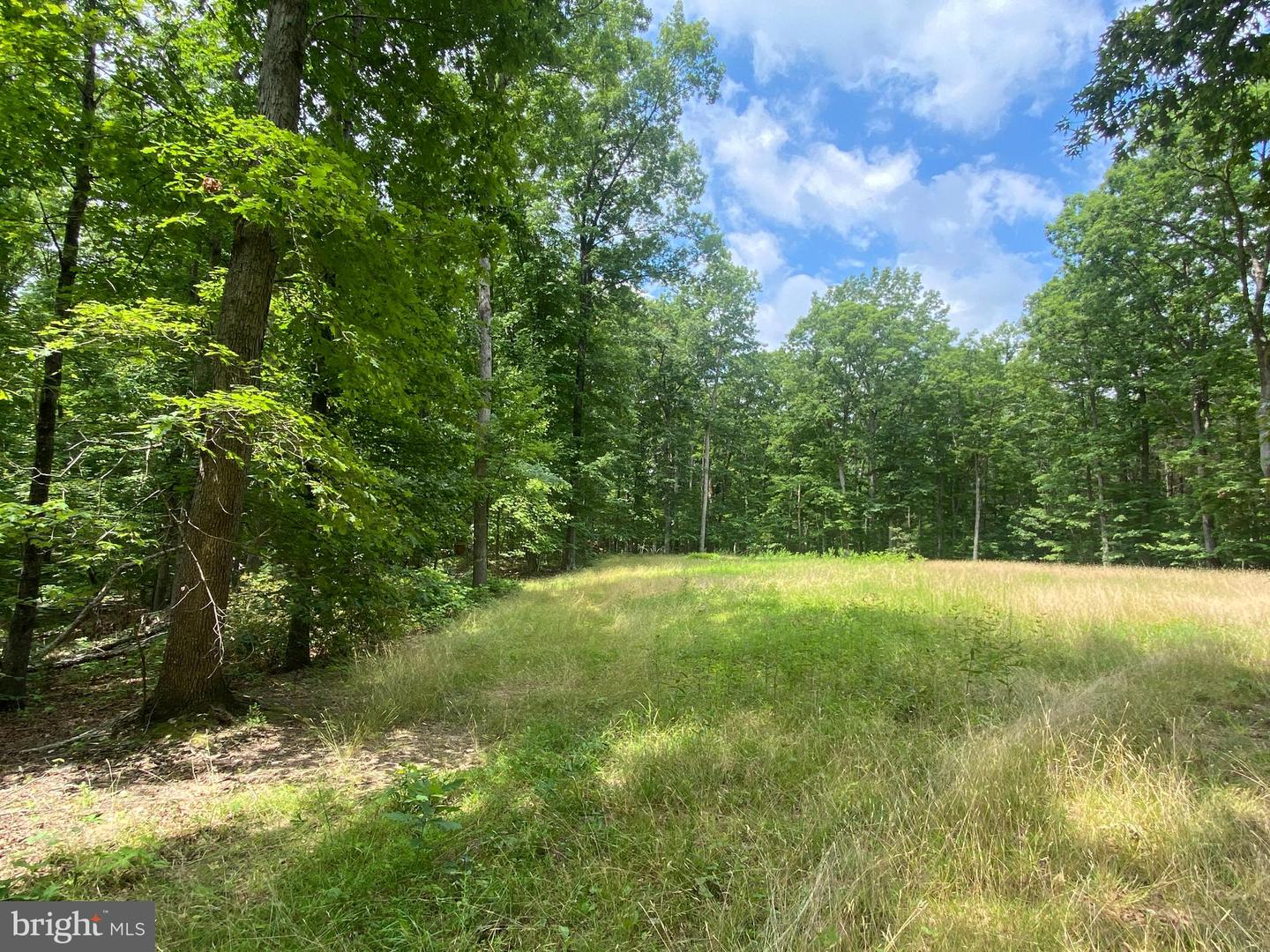 0 HOPE LN, ORANGE, Virginia 22960, ,Land,For sale,0 HOPE LN,VAOR2007640 MLS # VAOR2007640