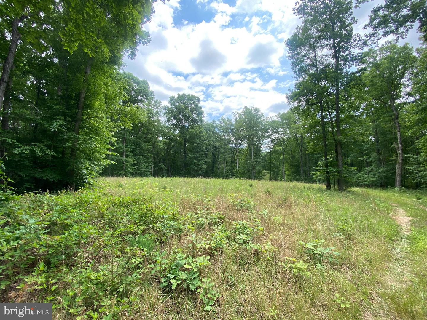 0 HOPE LN, ORANGE, Virginia 22960, ,Land,For sale,0 HOPE LN,VAOR2007640 MLS # VAOR2007640