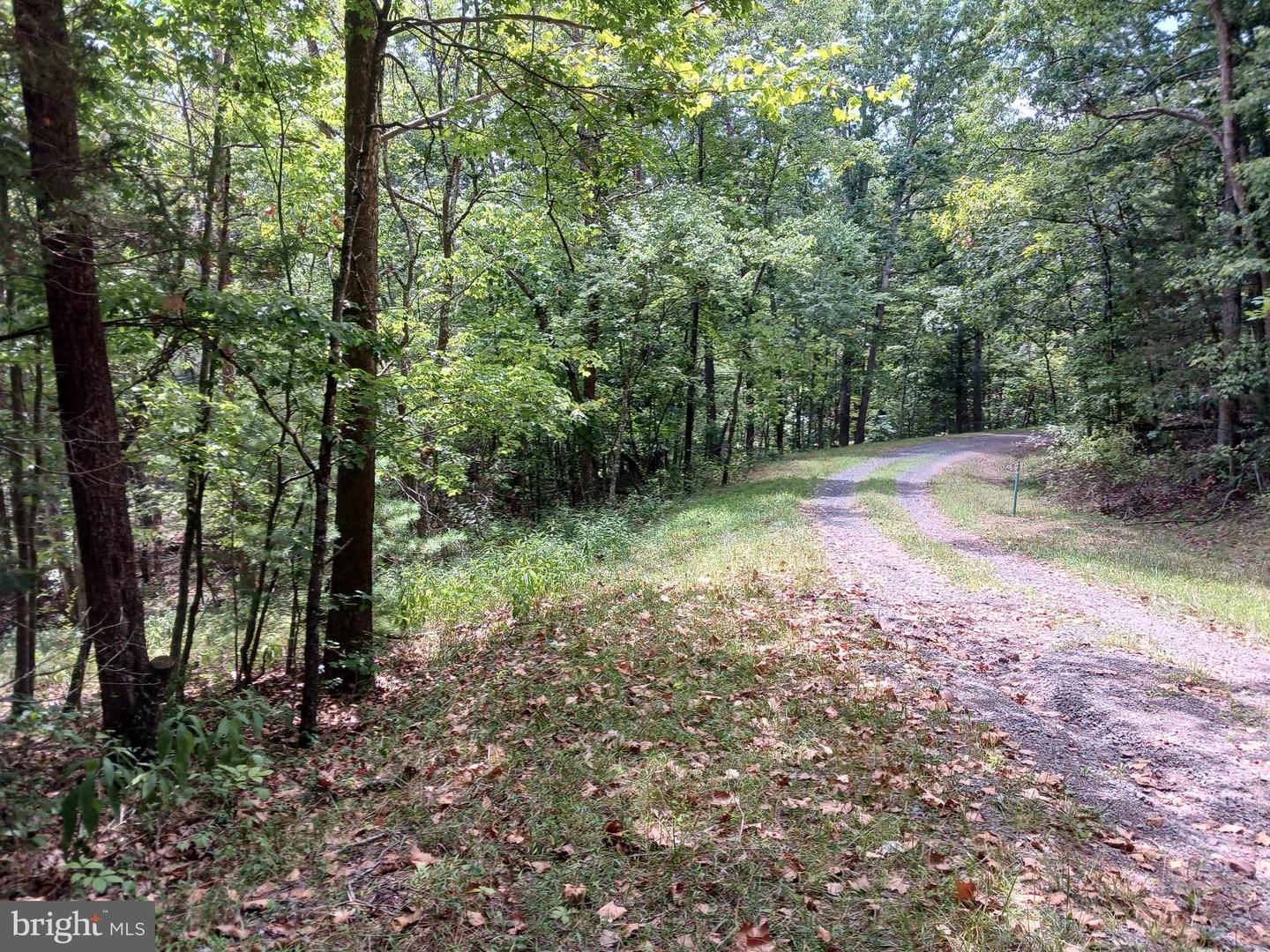 LOT 398 BASS WOOD LN, MOUNT JACKSON, Virginia 22842, ,Land,For sale,LOT 398 BASS WOOD LN,VASH2009324 MLS # VASH2009324