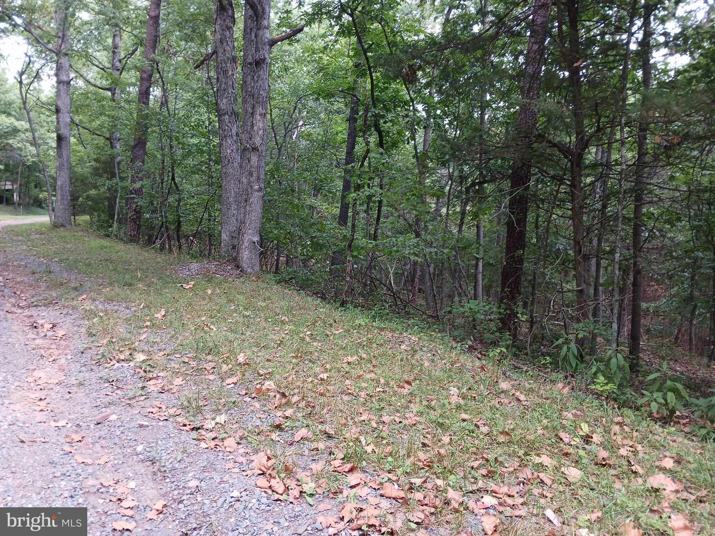 LOT 398 BASS WOOD LN, MOUNT JACKSON, Virginia 22842, ,Land,For sale,LOT 398 BASS WOOD LN,VASH2009324 MLS # VASH2009324