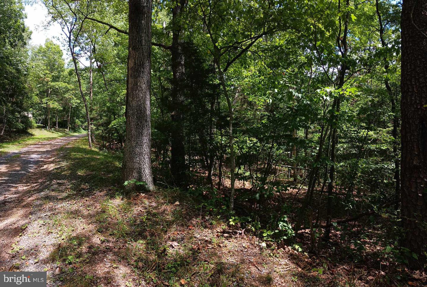 LOT 398 BASS WOOD LN, MOUNT JACKSON, Virginia 22842, ,Land,For sale,LOT 398 BASS WOOD LN,VASH2009324 MLS # VASH2009324