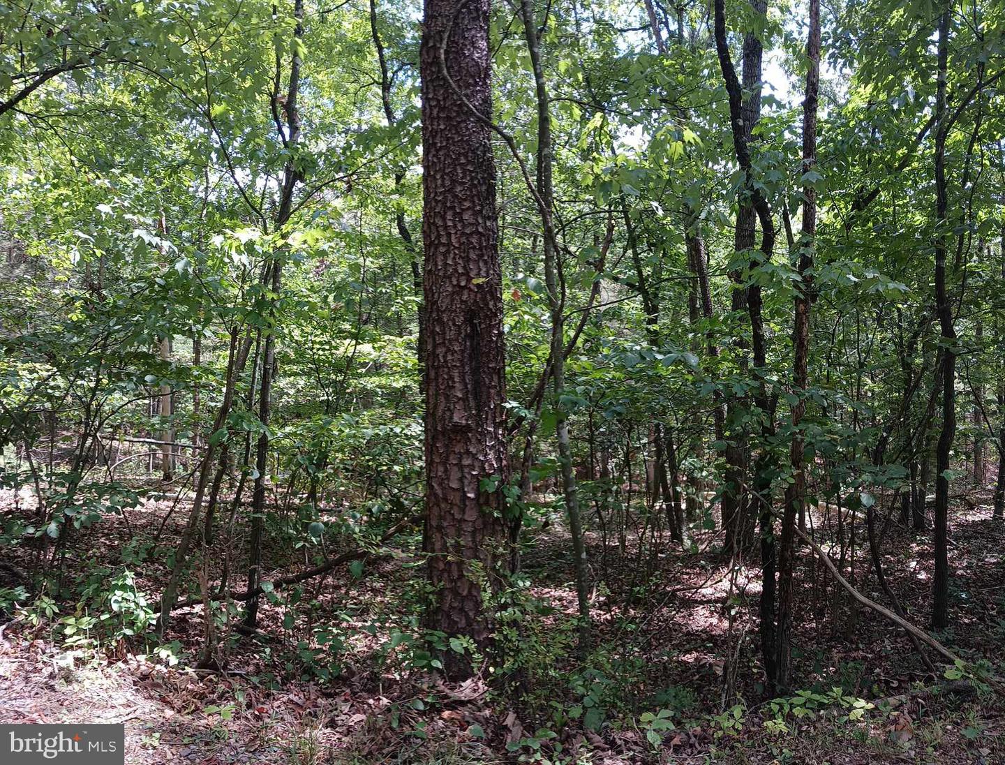 LOT 398 BASS WOOD LN, MOUNT JACKSON, Virginia 22842, ,Land,For sale,LOT 398 BASS WOOD LN,VASH2009324 MLS # VASH2009324