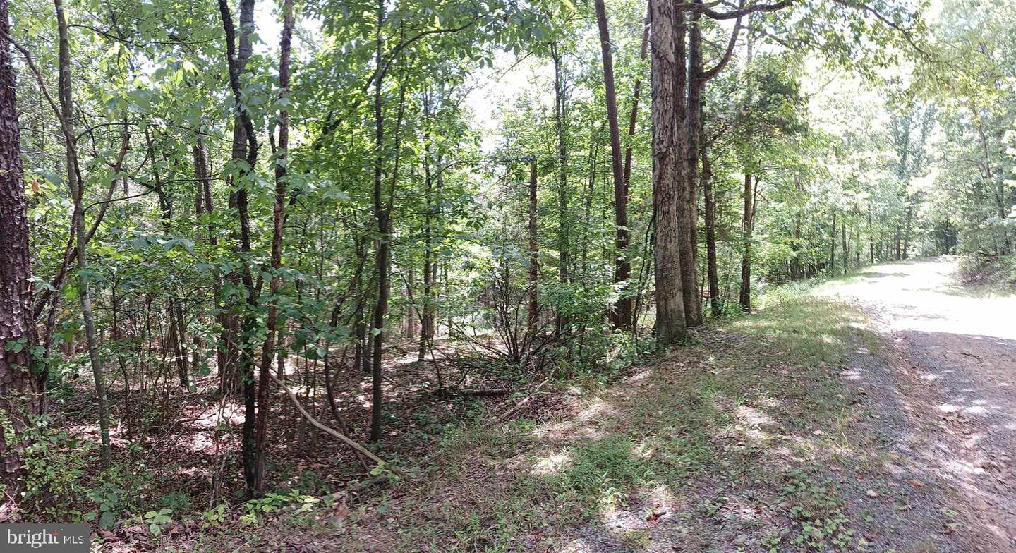 LOT 398 BASS WOOD LN, MOUNT JACKSON, Virginia 22842, ,Land,For sale,LOT 398 BASS WOOD LN,VASH2009324 MLS # VASH2009324