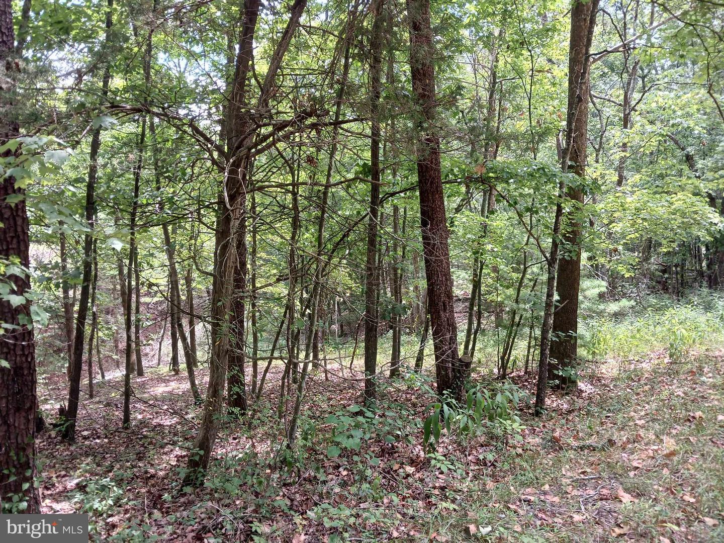 LOT 398 BASS WOOD LN, MOUNT JACKSON, Virginia 22842, ,Land,For sale,LOT 398 BASS WOOD LN,VASH2009324 MLS # VASH2009324