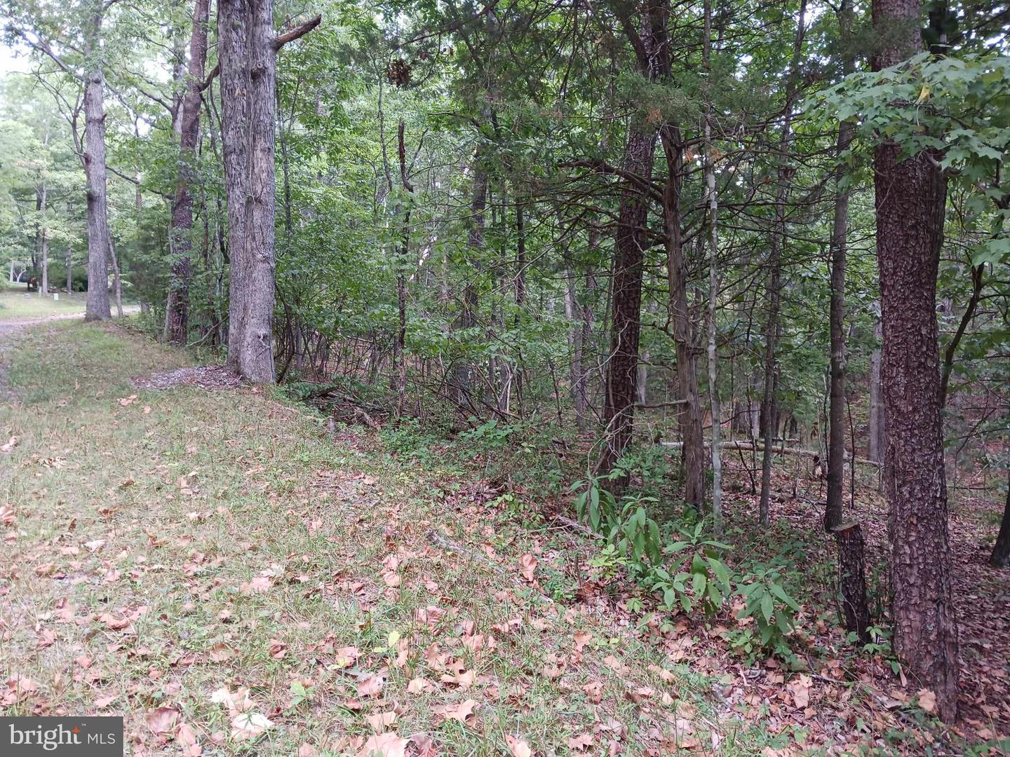 LOT 398 BASS WOOD LN, MOUNT JACKSON, Virginia 22842, ,Land,For sale,LOT 398 BASS WOOD LN,VASH2009324 MLS # VASH2009324