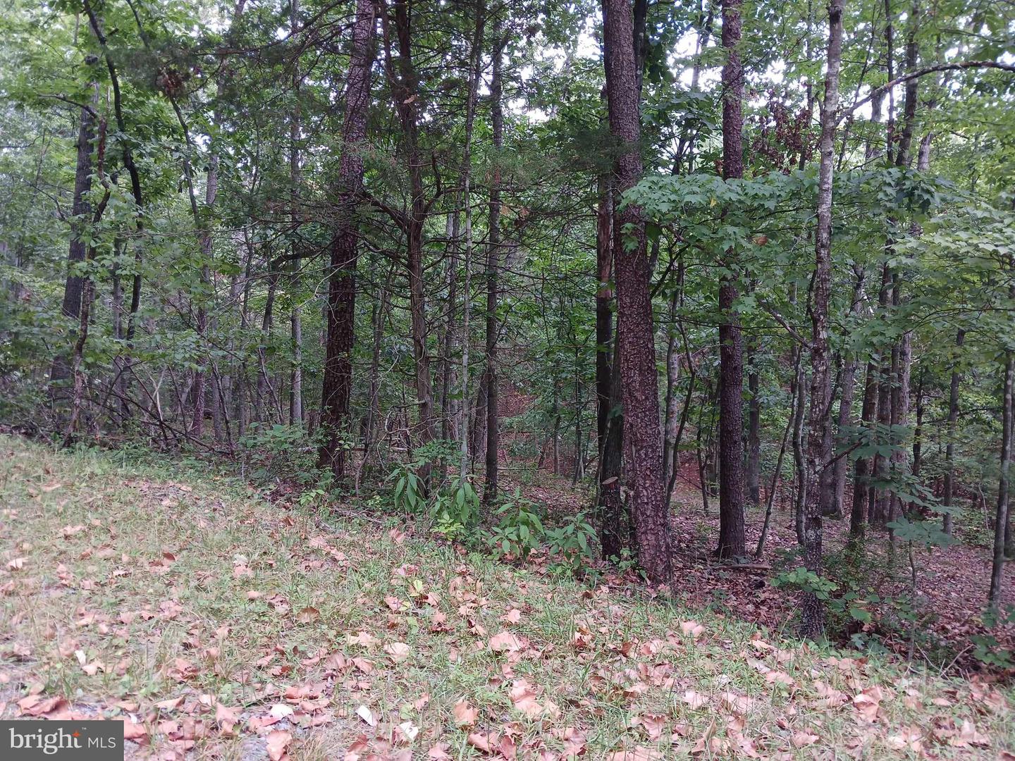 LOT 398 BASS WOOD LN, MOUNT JACKSON, Virginia 22842, ,Land,For sale,LOT 398 BASS WOOD LN,VASH2009324 MLS # VASH2009324