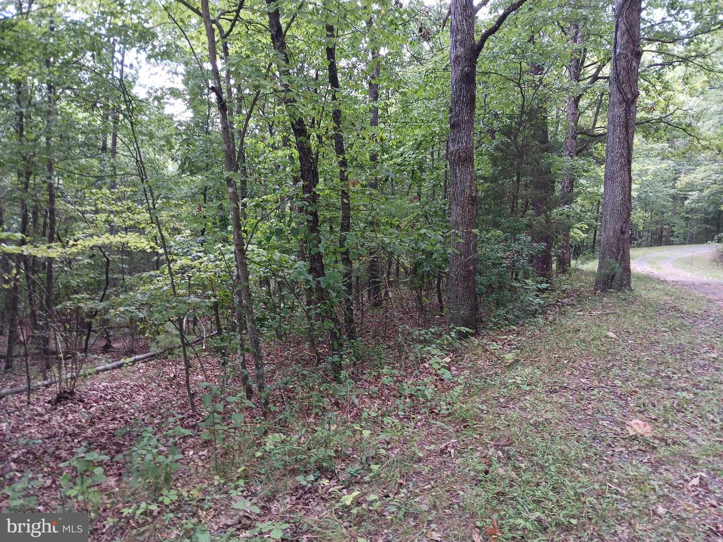 LOT 398 BASS WOOD LN, MOUNT JACKSON, Virginia 22842, ,Land,For sale,LOT 398 BASS WOOD LN,VASH2009324 MLS # VASH2009324