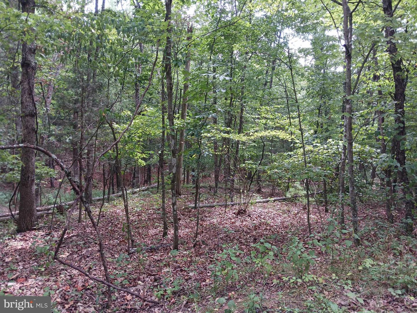 LOT 398 BASS WOOD LN, MOUNT JACKSON, Virginia 22842, ,Land,For sale,LOT 398 BASS WOOD LN,VASH2009324 MLS # VASH2009324