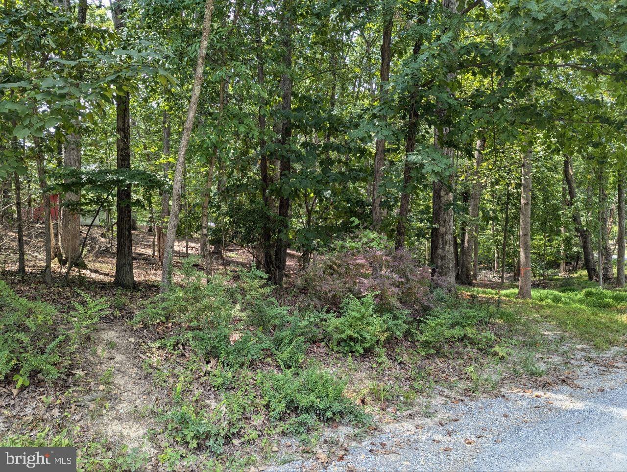 CEDAR LN, BLUEMONT, Virginia 20135, ,Land,For sale,CEDAR LN,VACL2002904 MLS # VACL2002904