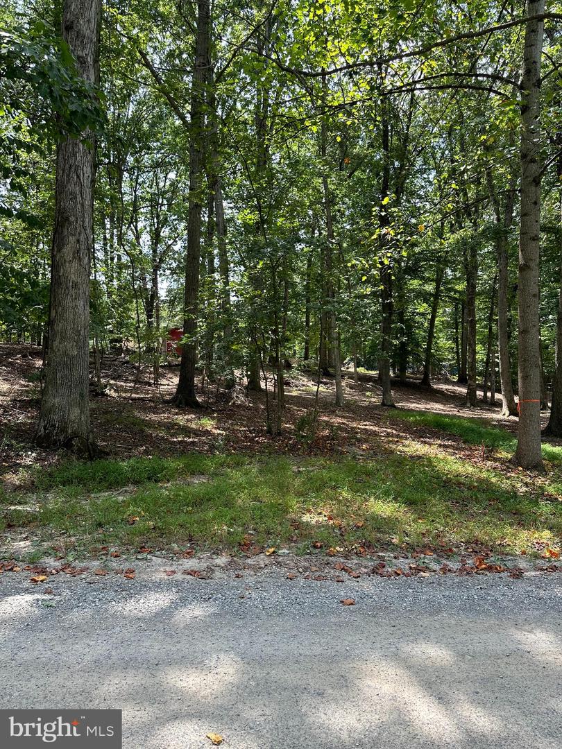 CEDAR LN, BLUEMONT, Virginia 20135, ,Land,For sale,CEDAR LN,VACL2002904 MLS # VACL2002904