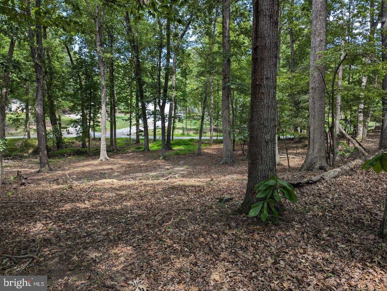 CEDAR LN, BLUEMONT, Virginia 20135, ,Land,For sale,CEDAR LN,VACL2002904 MLS # VACL2002904