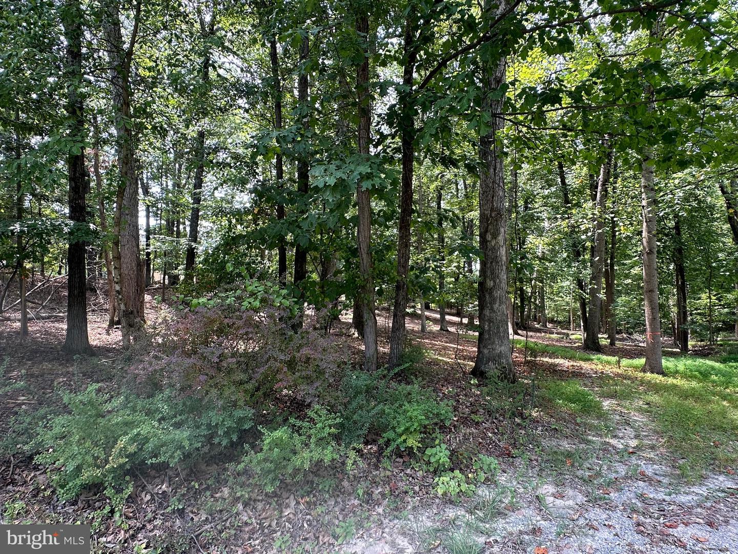 CEDAR LN, BLUEMONT, Virginia 20135, ,Land,For sale,CEDAR LN,VACL2002904 MLS # VACL2002904