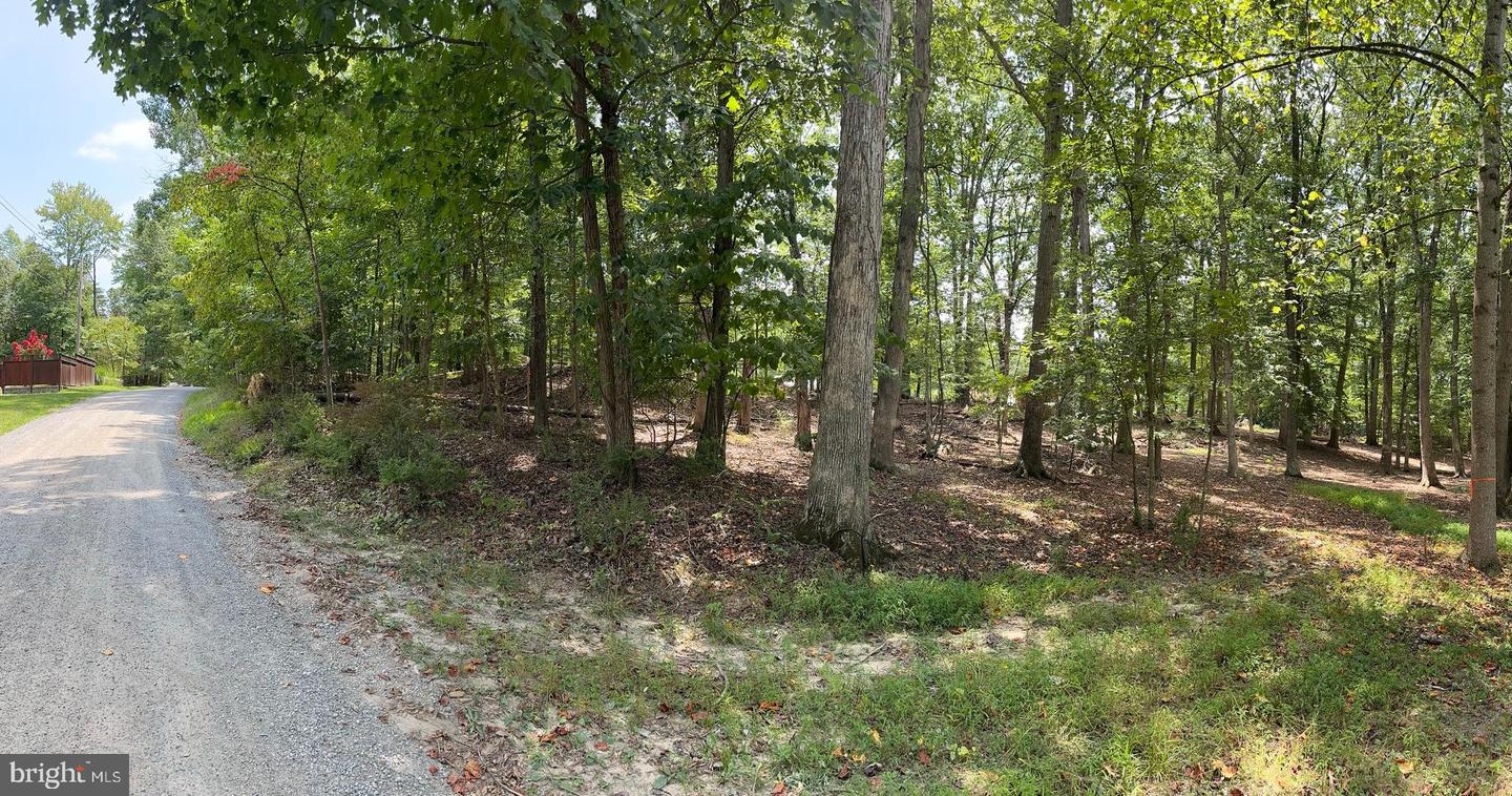 CEDAR LN, BLUEMONT, Virginia 20135, ,Land,For sale,CEDAR LN,VACL2002904 MLS # VACL2002904