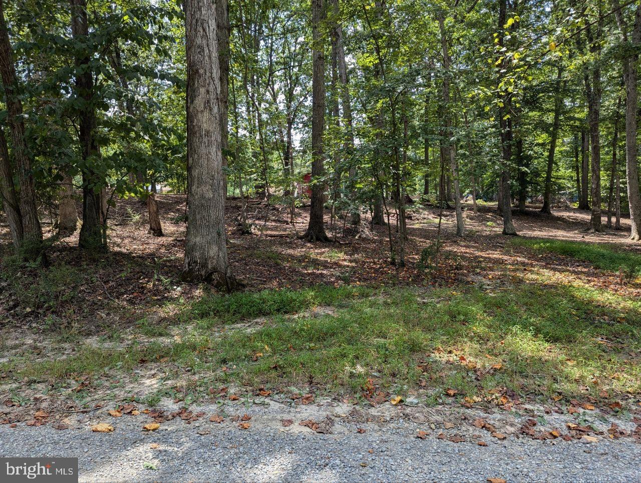 CEDAR LN, BLUEMONT, Virginia 20135, ,Land,For sale,CEDAR LN,VACL2002904 MLS # VACL2002904