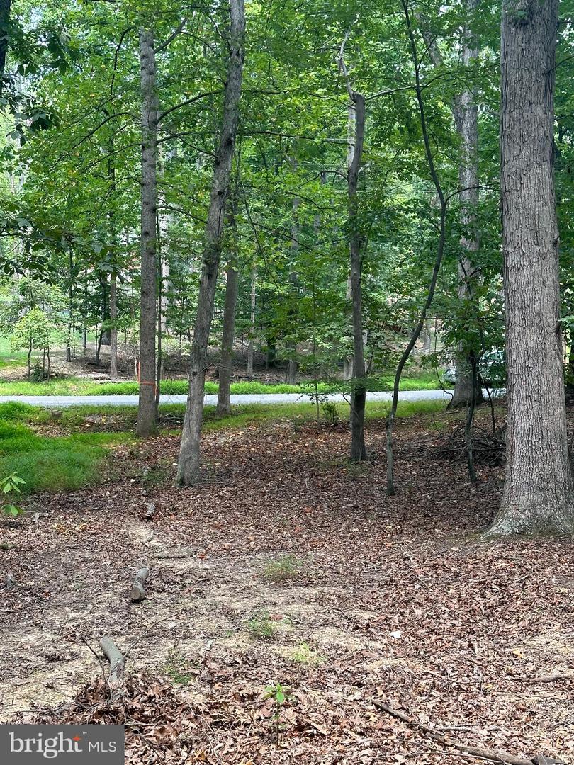 CEDAR LN, BLUEMONT, Virginia 20135, ,Land,For sale,CEDAR LN,VACL2002904 MLS # VACL2002904