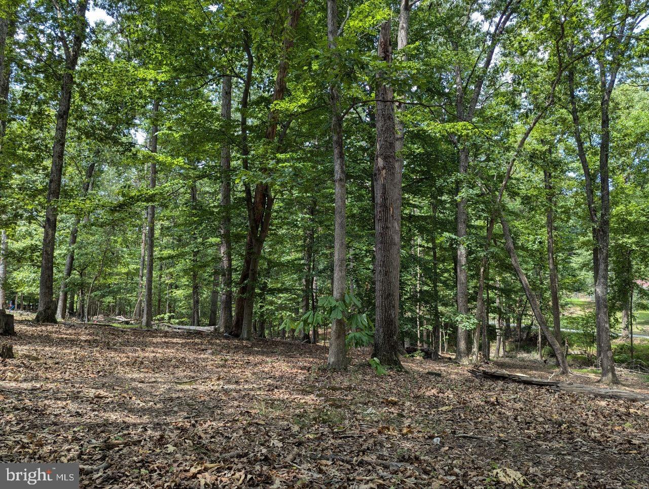 CEDAR LN, BLUEMONT, Virginia 20135, ,Land,For sale,CEDAR LN,VACL2002904 MLS # VACL2002904