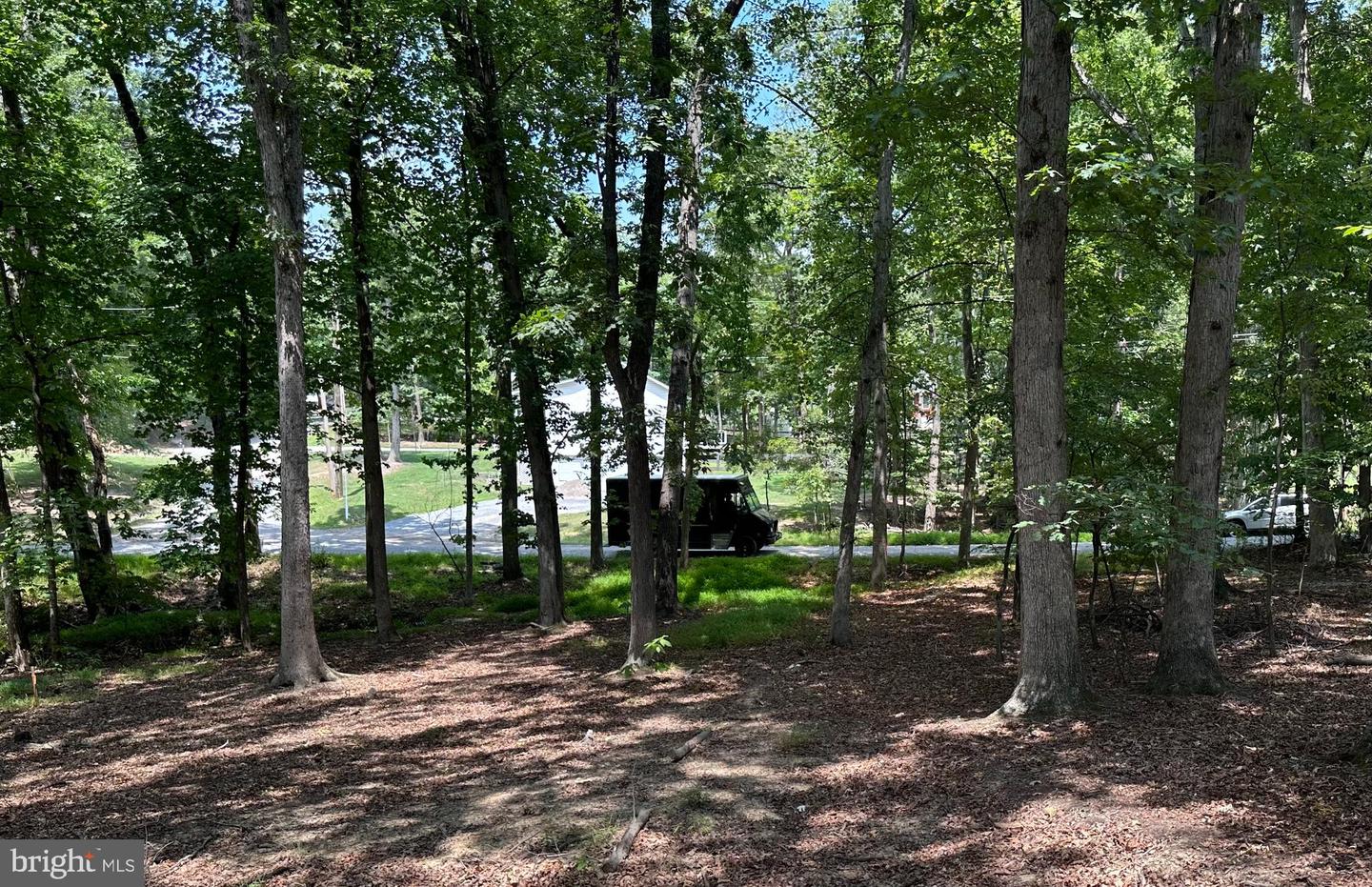 CEDAR LN, BLUEMONT, Virginia 20135, ,Land,For sale,CEDAR LN,VACL2002904 MLS # VACL2002904