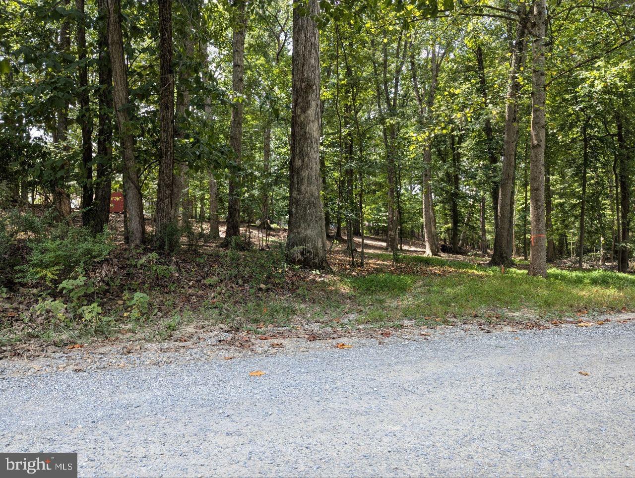 CEDAR LN, BLUEMONT, Virginia 20135, ,Land,For sale,CEDAR LN,VACL2002904 MLS # VACL2002904