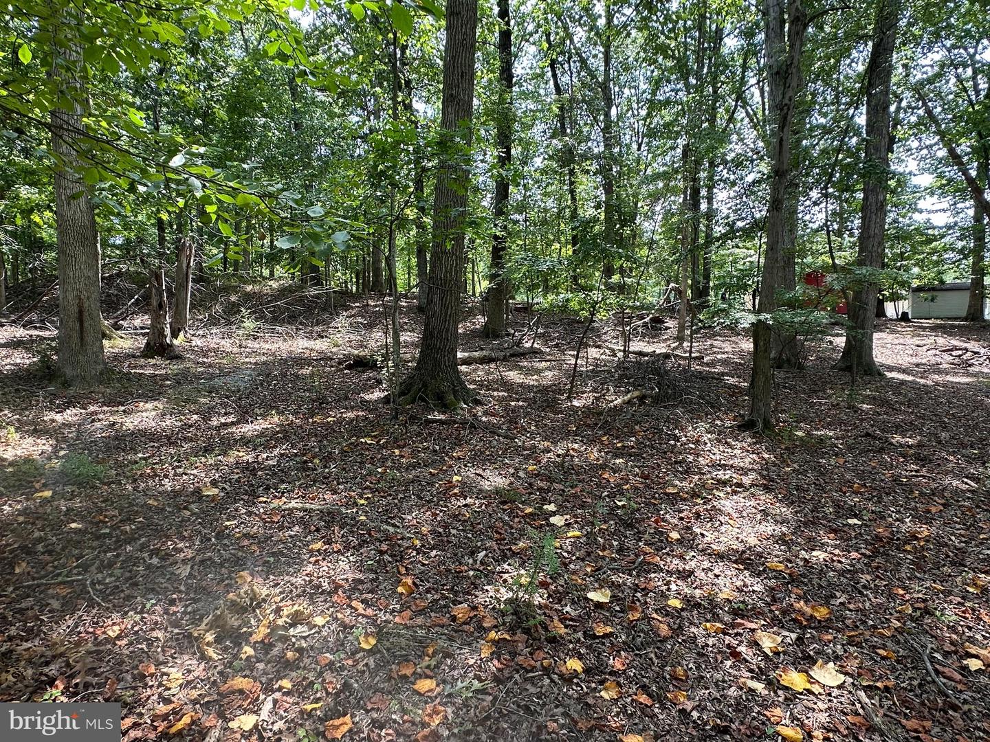 CEDAR LN, BLUEMONT, Virginia 20135, ,Land,For sale,CEDAR LN,VACL2002904 MLS # VACL2002904