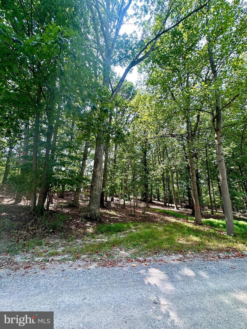 CEDAR LN, BLUEMONT, Virginia 20135, ,Land,For sale,CEDAR LN,VACL2002904 MLS # VACL2002904