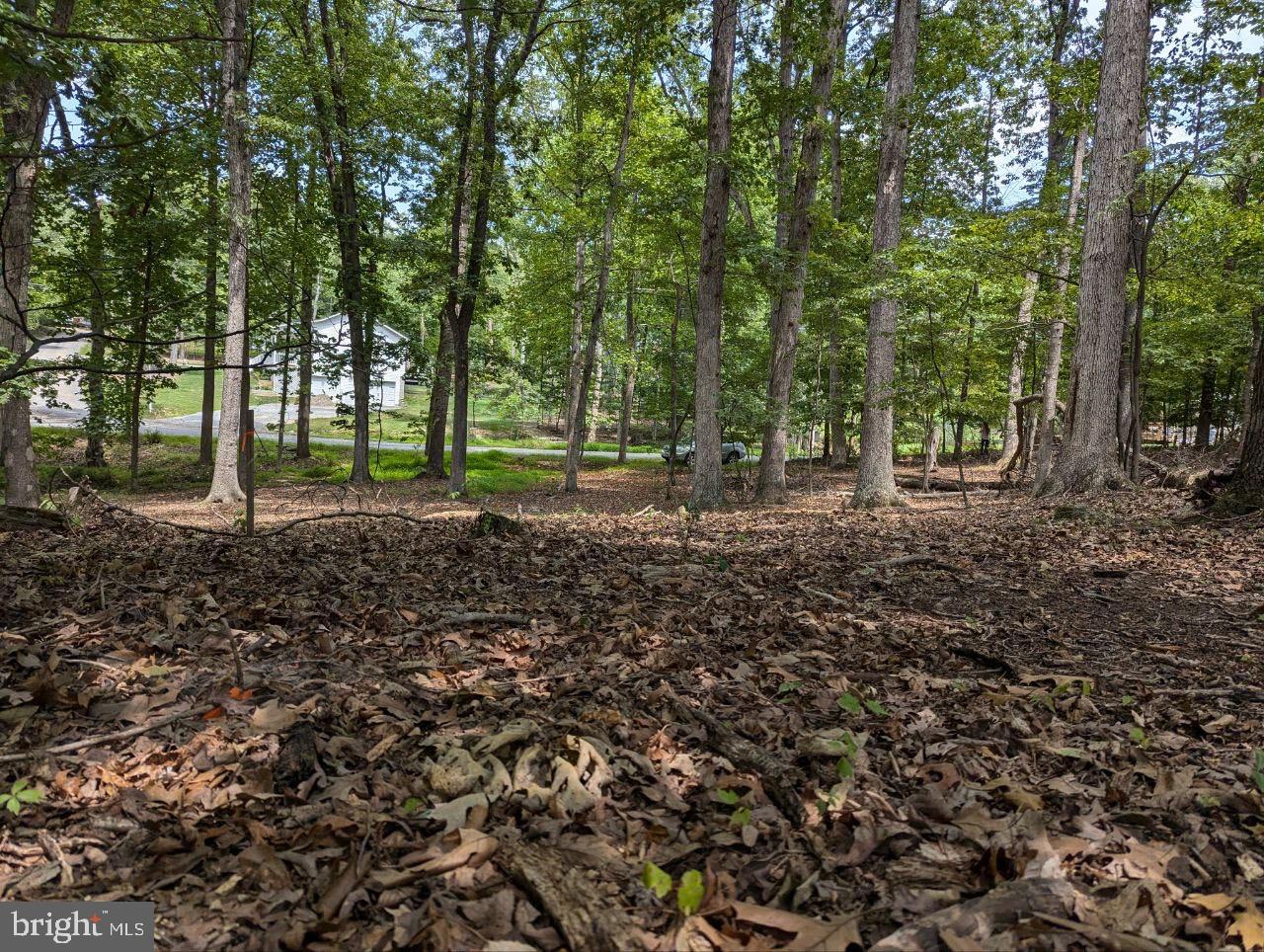 CEDAR LN, BLUEMONT, Virginia 20135, ,Land,For sale,CEDAR LN,VACL2002904 MLS # VACL2002904