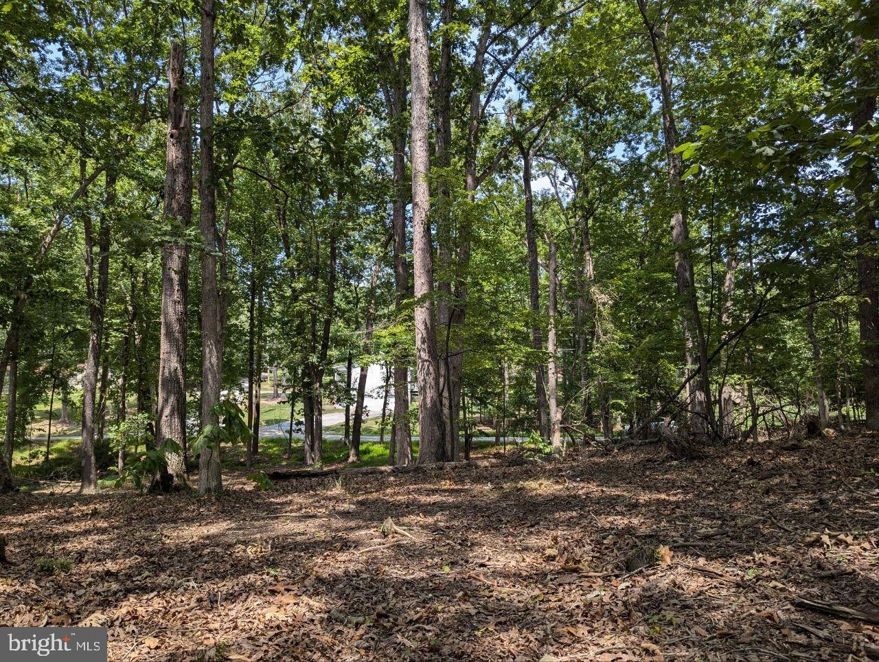 CEDAR LN, BLUEMONT, Virginia 20135, ,Land,For sale,CEDAR LN,VACL2002904 MLS # VACL2002904