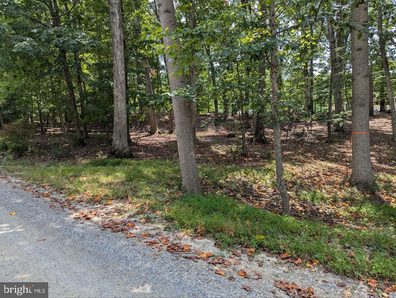 CEDAR LN, BLUEMONT, Virginia 20135, ,Land,For sale,CEDAR LN,VACL2002904 MLS # VACL2002904