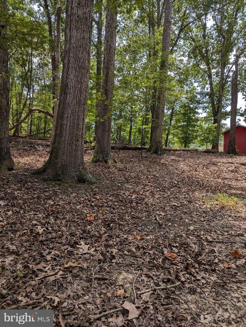 CEDAR LN, BLUEMONT, Virginia 20135, ,Land,For sale,CEDAR LN,VACL2002904 MLS # VACL2002904