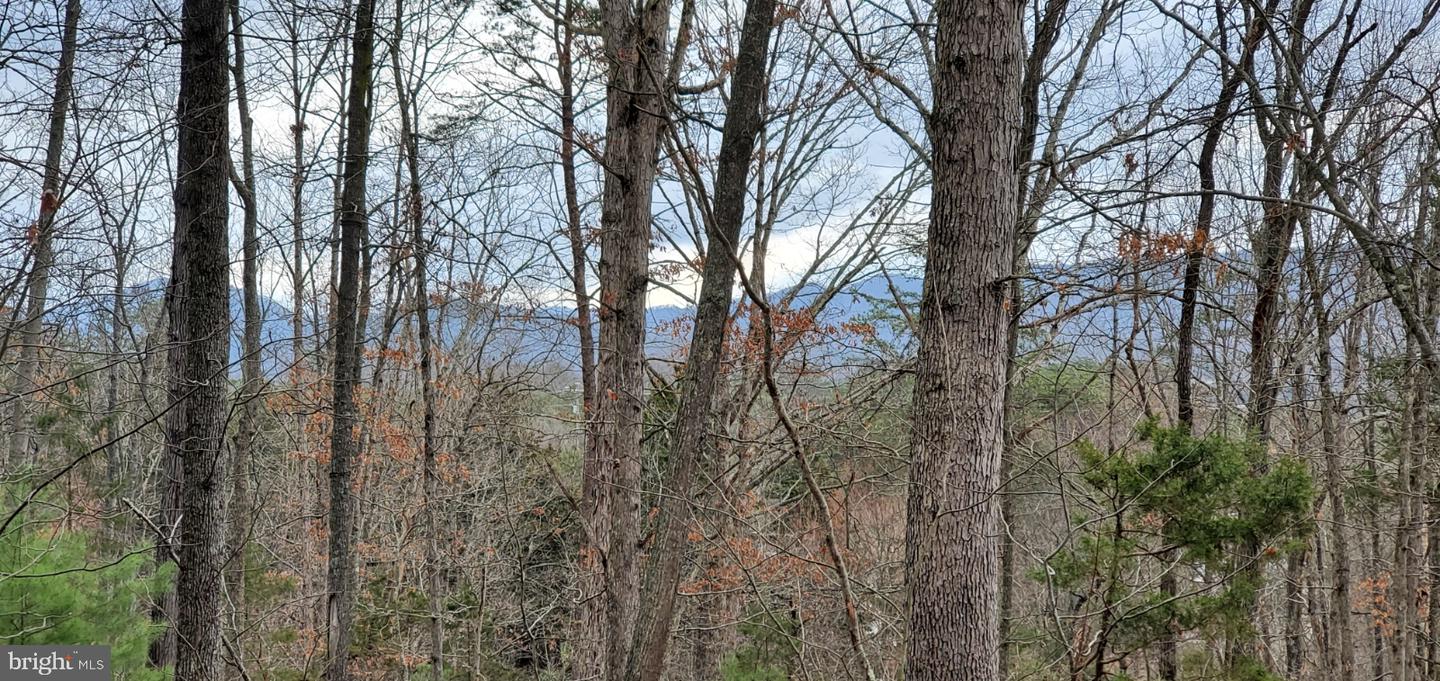 LOT 40 FORT VALLEY RD, FORT VALLEY, Virginia 22652, ,Land,For sale,LOT 40 FORT VALLEY RD,VASH2009334 MLS # VASH2009334