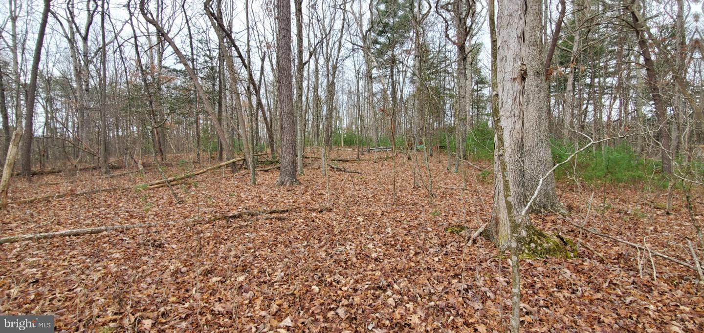 LOT 40 FORT VALLEY RD, FORT VALLEY, Virginia 22652, ,Land,For sale,LOT 40 FORT VALLEY RD,VASH2009334 MLS # VASH2009334