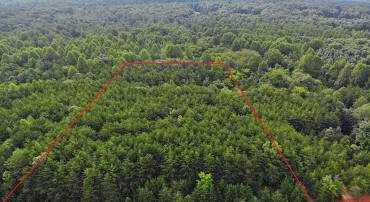 ELAM DR, PROSPECT, Virginia 23960, ,Land,For sale,ELAM DR,VAPE2000042 MLS # VAPE2000042