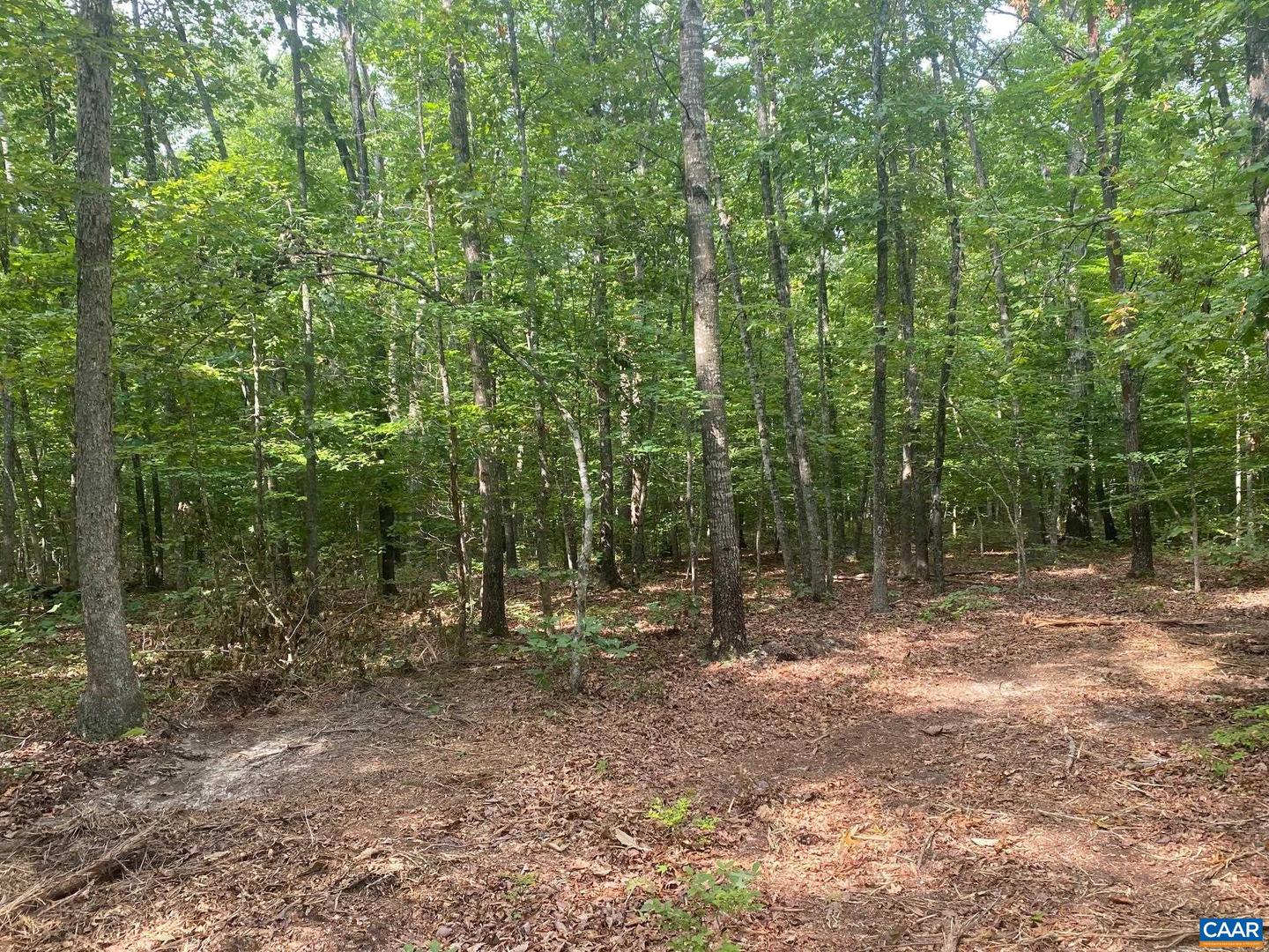 S CONSTITUTION RTE, SCOTTSVILLE, Virginia 24590, ,Land,For sale,S CONSTITUTION RTE,655763 MLS # 655763