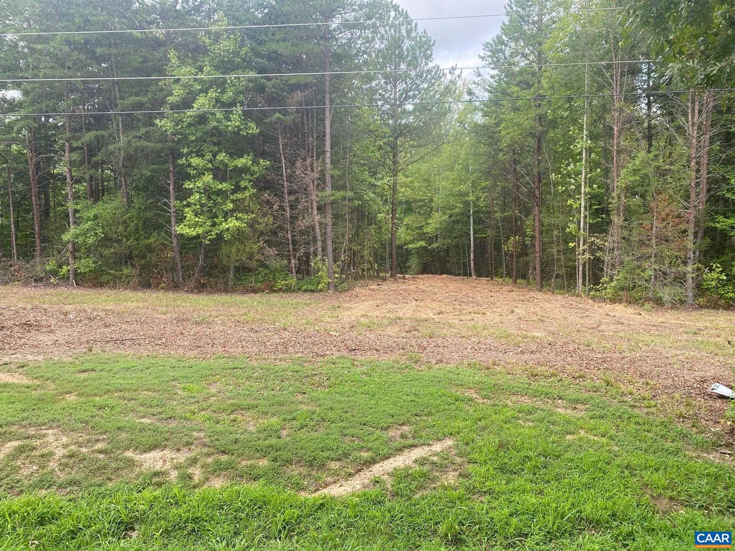 S CONSTITUTION RTE, SCOTTSVILLE, Virginia 24590, ,Land,For sale,S CONSTITUTION RTE,655763 MLS # 655763