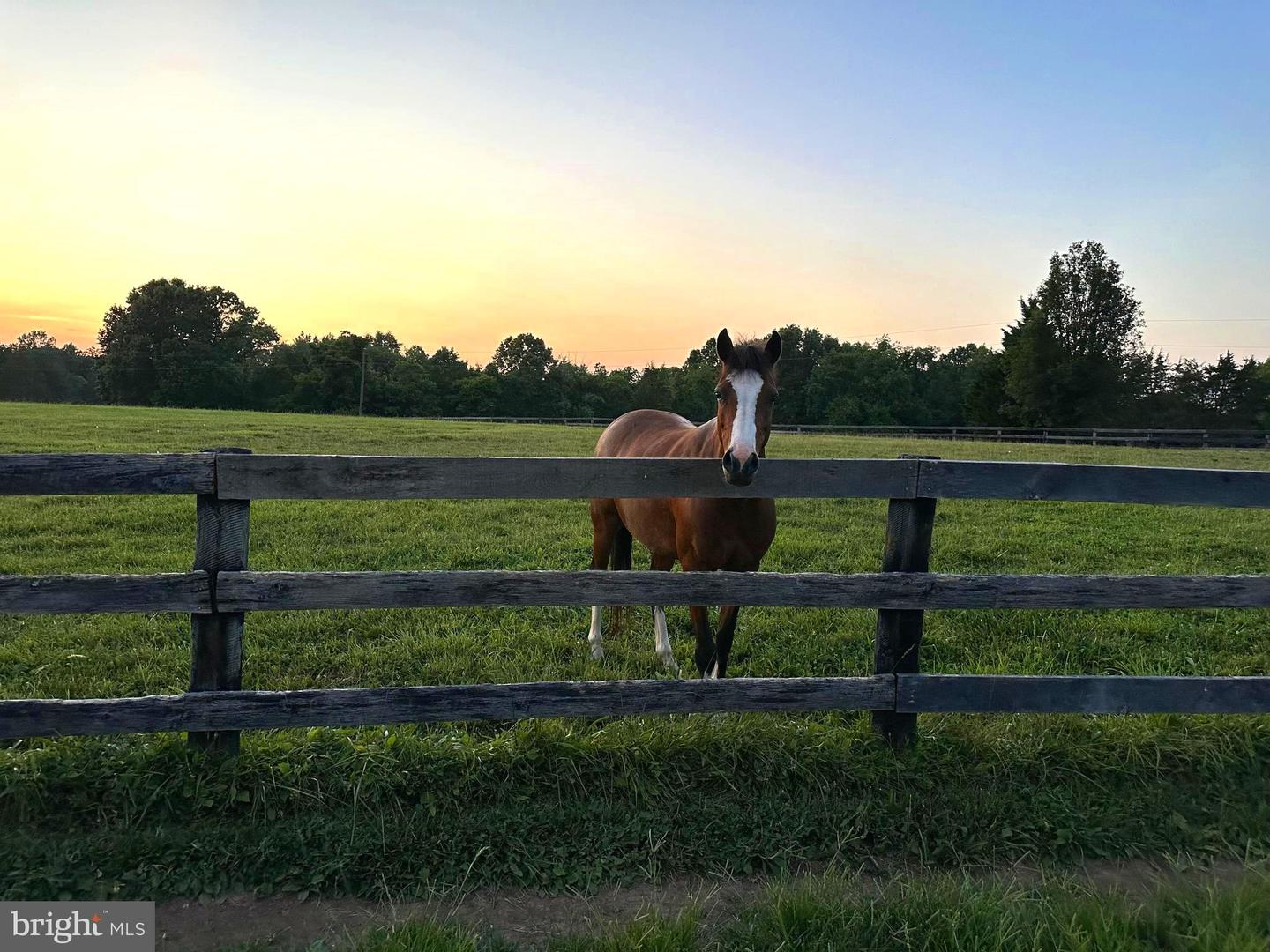 8648 HUNT TRL, WARRENTON, Virginia 20187, 3 Bedrooms Bedrooms, ,2 BathroomsBathrooms,Farm,For sale,8648 HUNT TRL,VAFQ2012896 MLS # VAFQ2012896