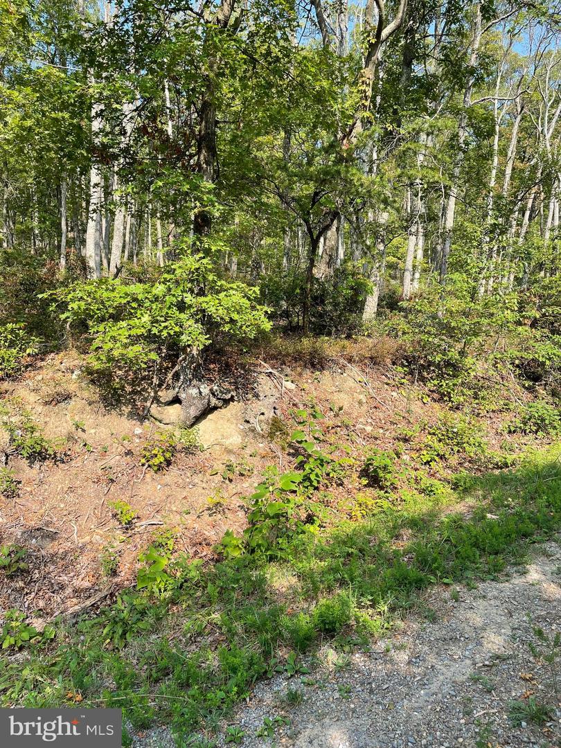 LOT 171 FIRE TOWER TRL, WINCHESTER, Virginia 22602, ,Land,For sale,LOT 171 FIRE TOWER TRL,VAFV2020856 MLS # VAFV2020856