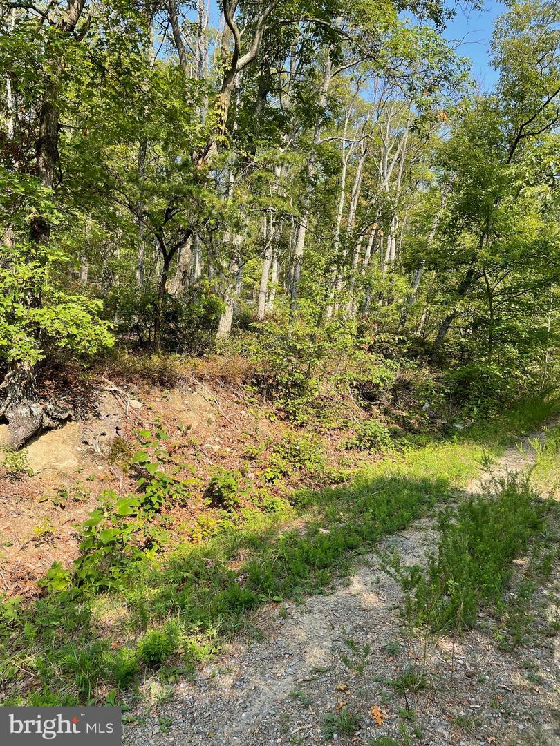 LOT 171 FIRE TOWER TRL, WINCHESTER, Virginia 22602, ,Land,For sale,LOT 171 FIRE TOWER TRL,VAFV2020856 MLS # VAFV2020856