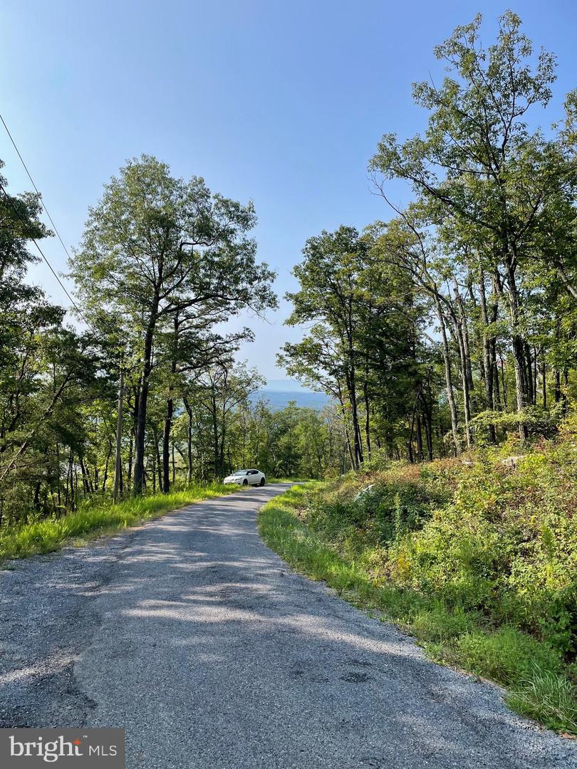 LOT 171 FIRE TOWER TRL, WINCHESTER, Virginia 22602, ,Land,For sale,LOT 171 FIRE TOWER TRL,VAFV2020856 MLS # VAFV2020856