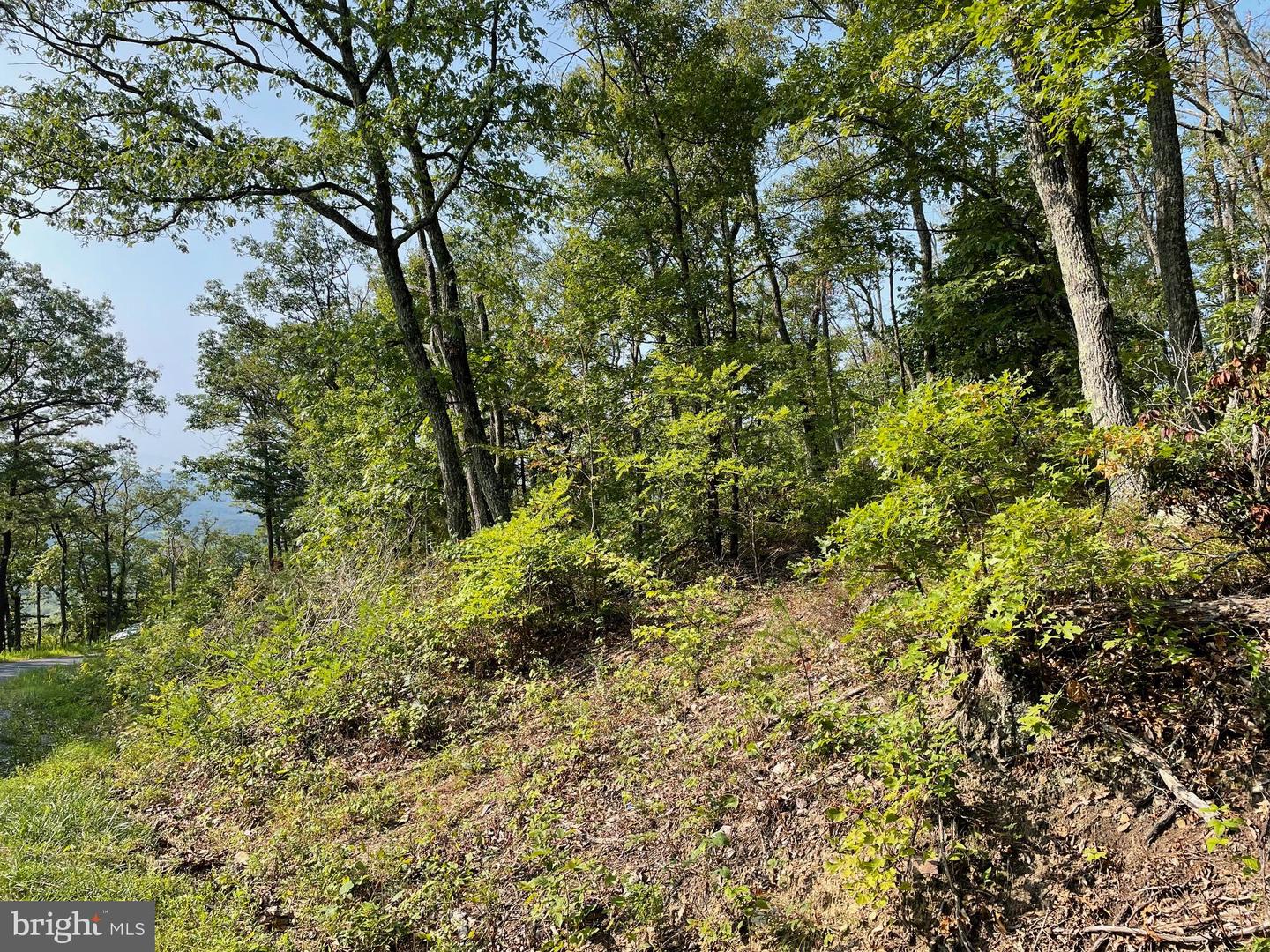 LOT 171 FIRE TOWER TRL, WINCHESTER, Virginia 22602, ,Land,For sale,LOT 171 FIRE TOWER TRL,VAFV2020856 MLS # VAFV2020856