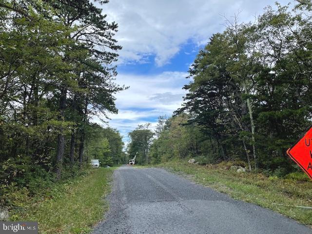 LOT 76 BEAR TRL, WINCHESTER, Virginia 22602, ,Land,For sale,LOT 76 BEAR TRL,VAFV2020858 MLS # VAFV2020858